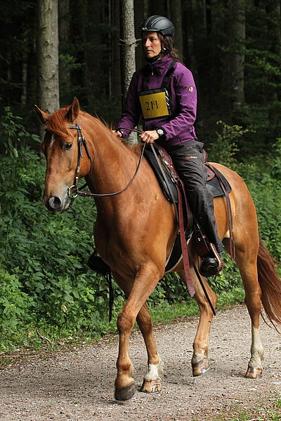 Westernsattel