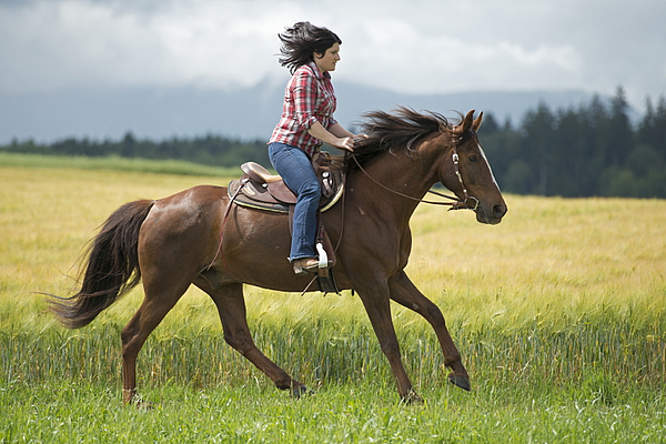Westernsattel