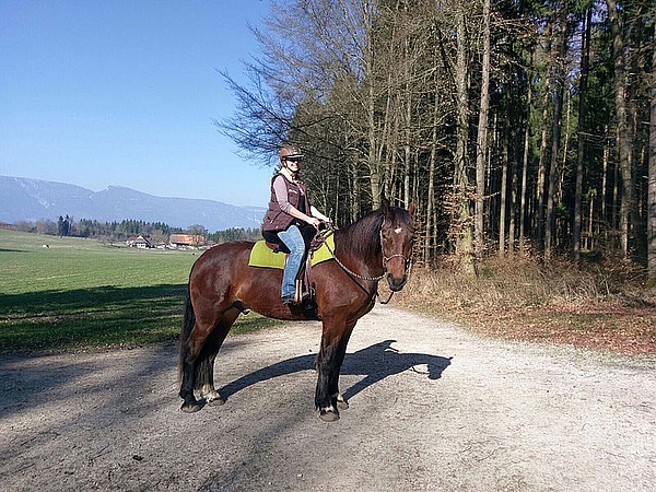Westernsattel